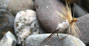 Sandpoint Magazine Fly Giveaway