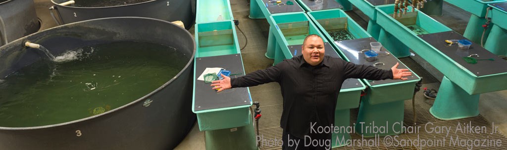 Sturgeon hatchery