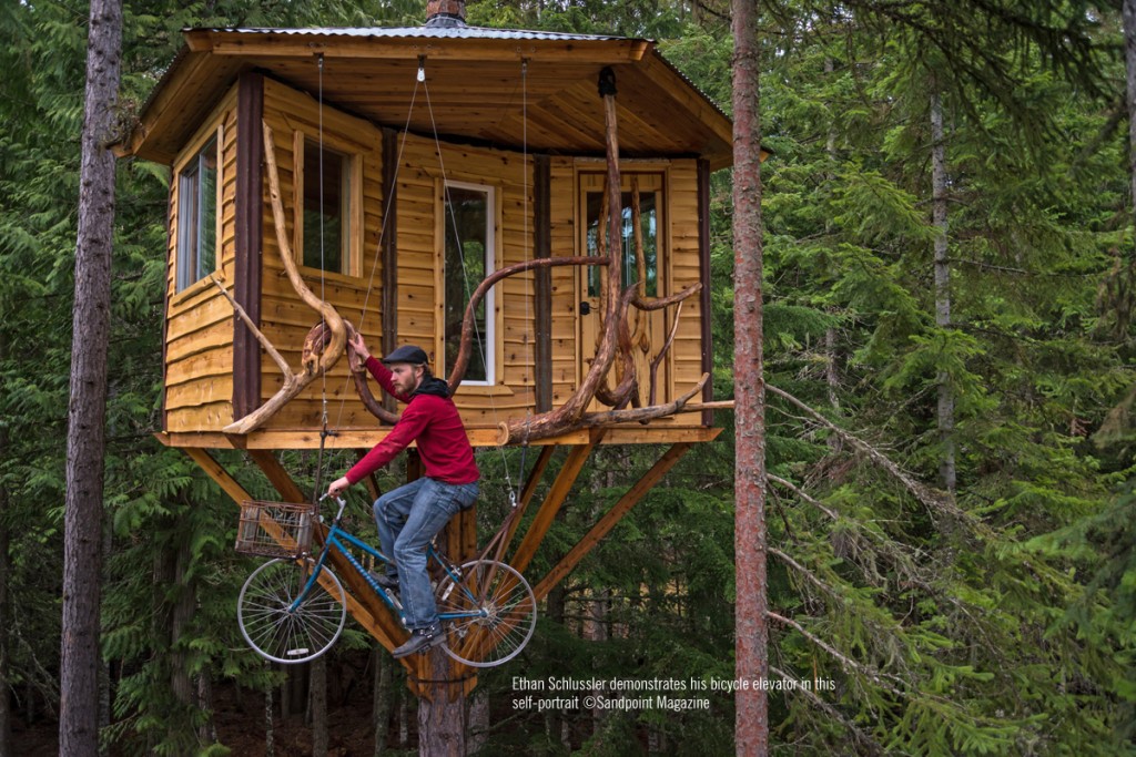 Florida Man Prompt - The Crooked Treehouse