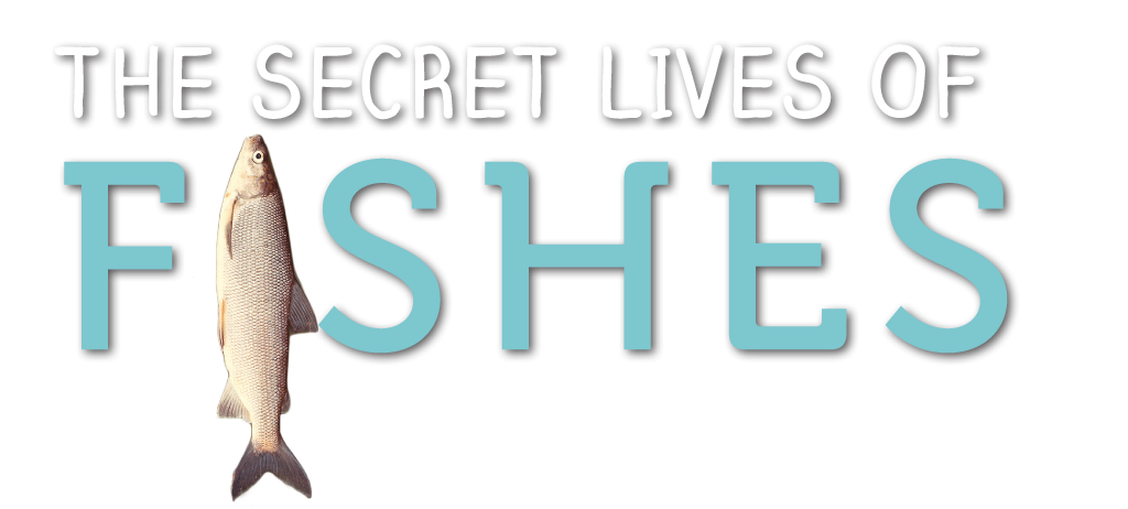 Secret-lives-of-fishes